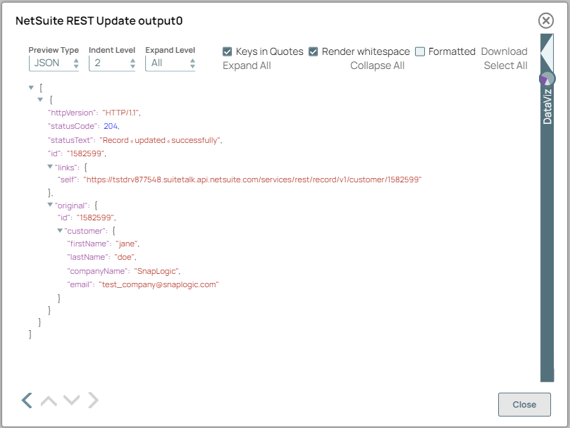 NetSuite REST Update Snap Output