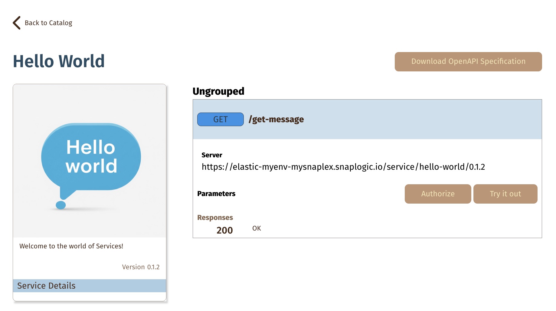 Endpoint with try it out enabled