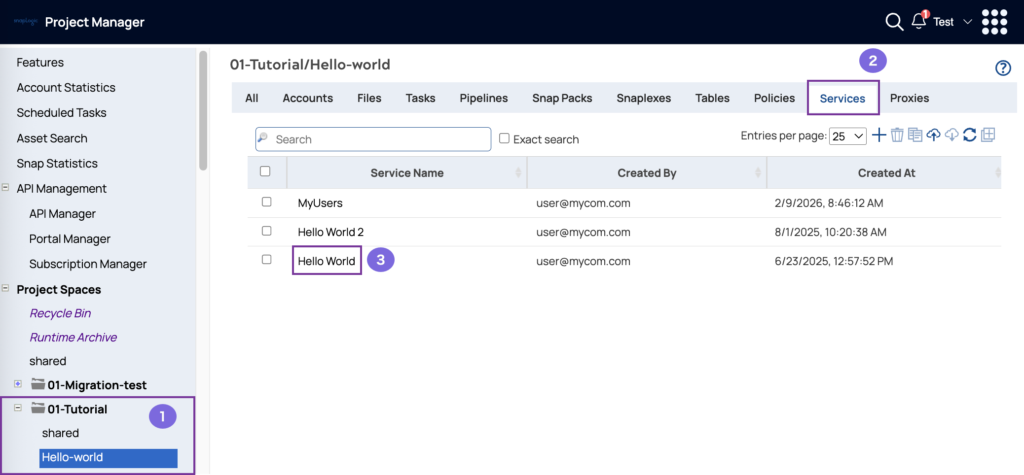 Service tab in Project Manager