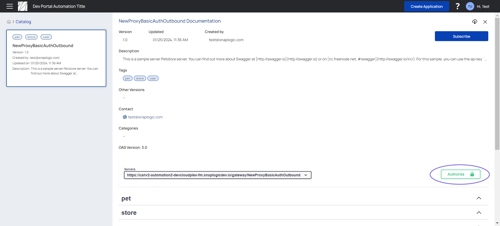 API authorize button