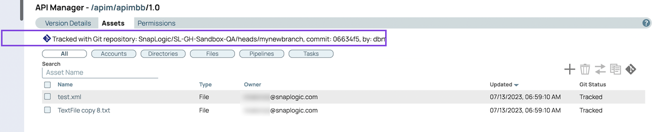 Assets tab showing newly created branch