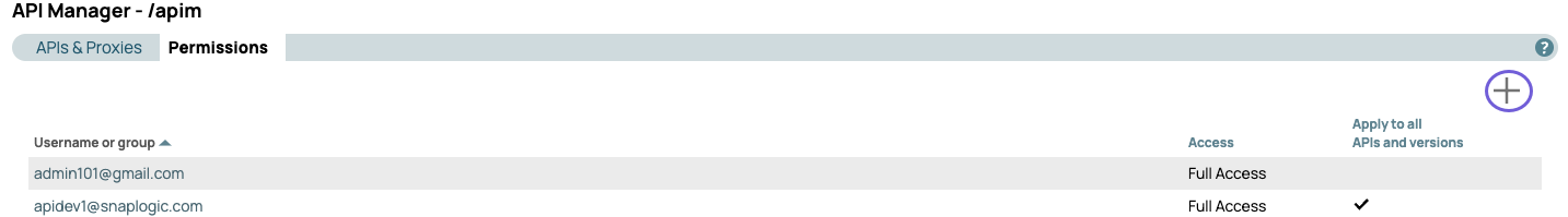 API Manager Permissions tab