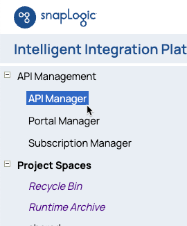 Open API Manager