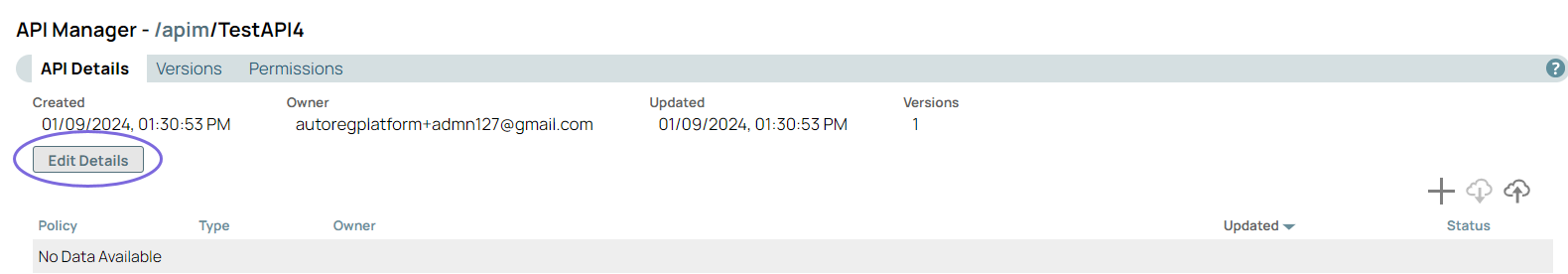 API details page with Edit Details option