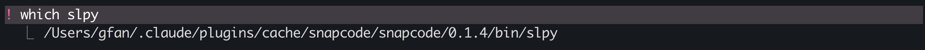 which slpy output showing the path inside the SnapCode plugin cache