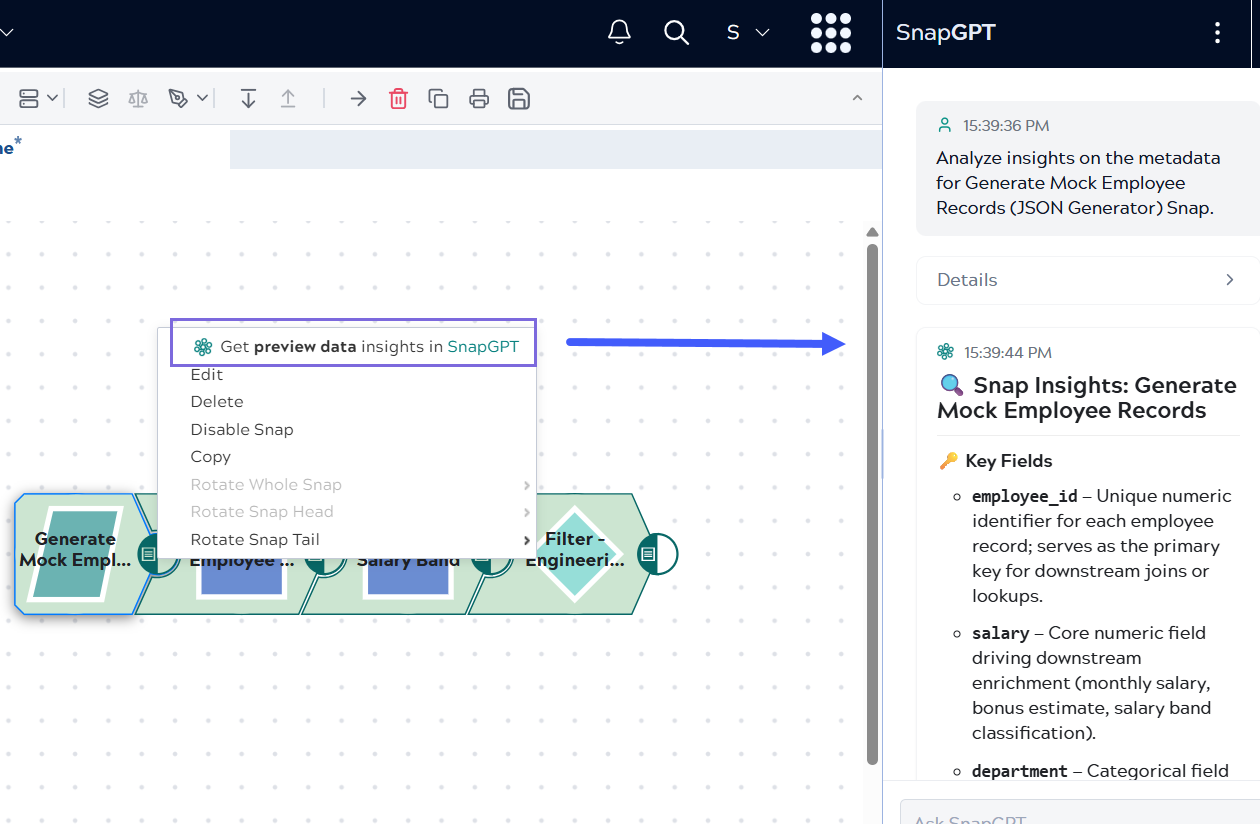 SnapGPT panel showing preview data insights