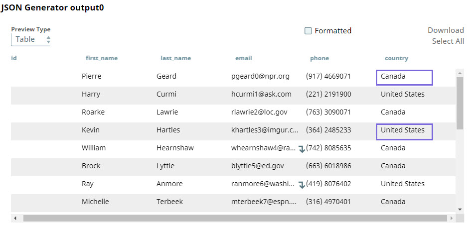 JSON Generator output