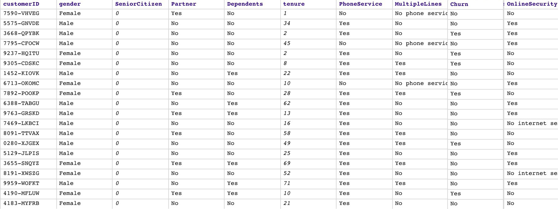 Telco churn dataset preview