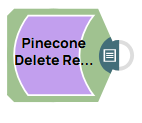 Pinecone Delete Records Example Pipeline