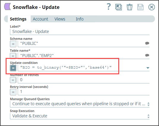 Snowflake Update Snap Configuration
