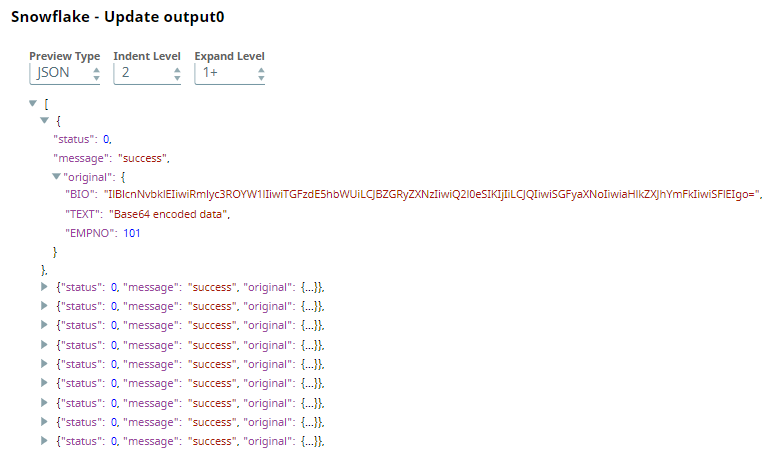 JSON Formatter Output