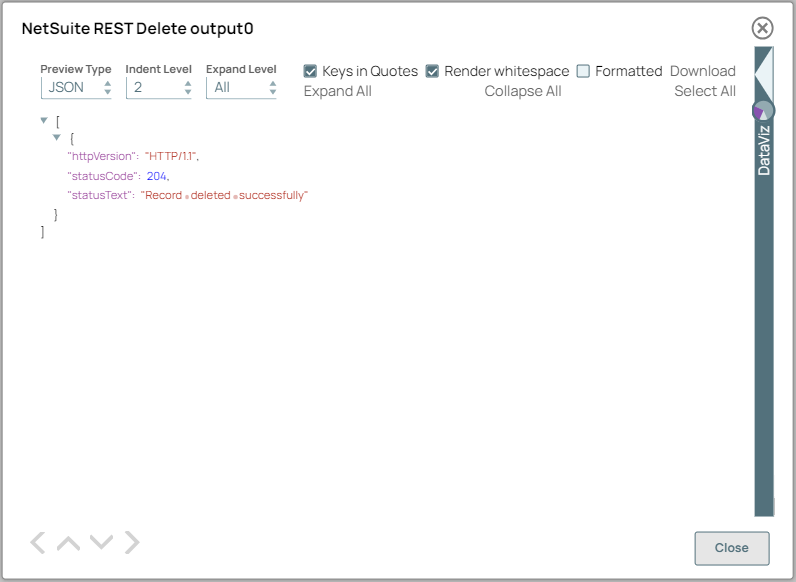 NetSuite REST Delete Snap Output