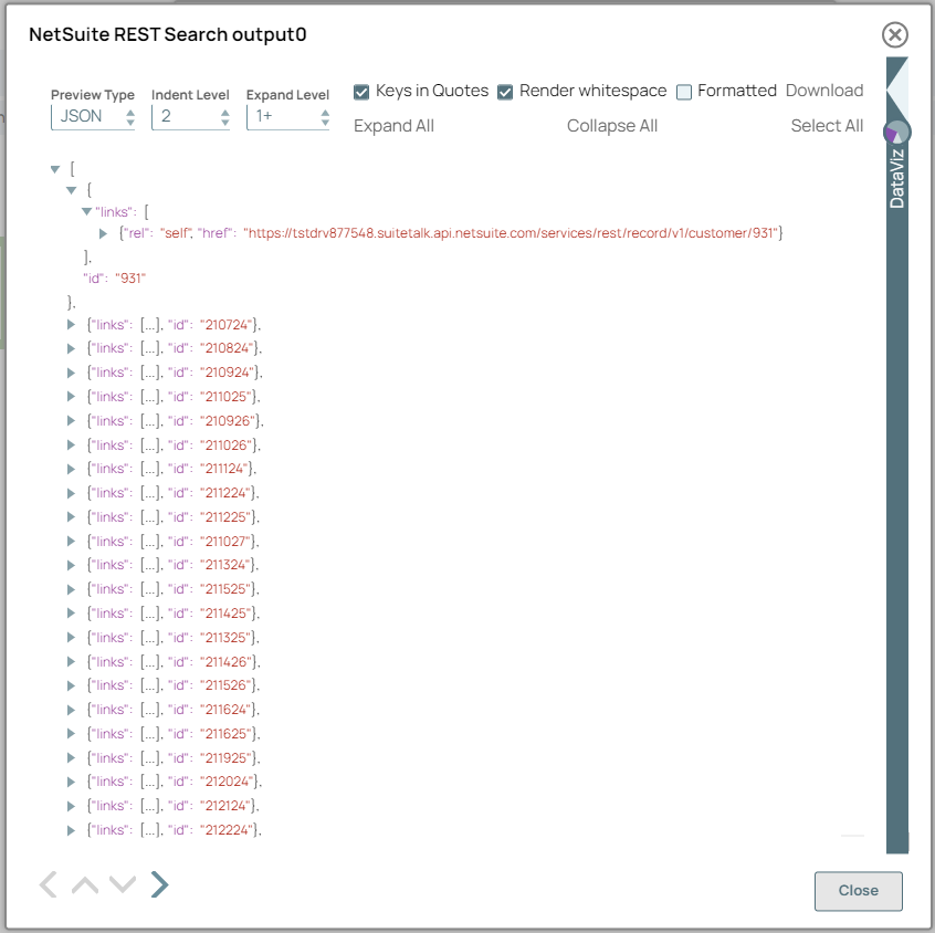 NetSuite Search Execute Snap Output