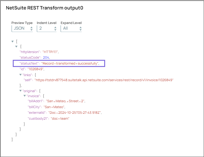 NetSuite REST Transform Snap Output