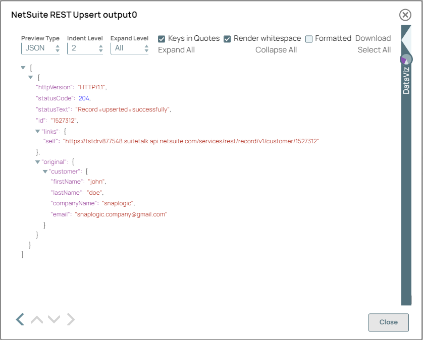 NetSuite REST Upsert Snap Output