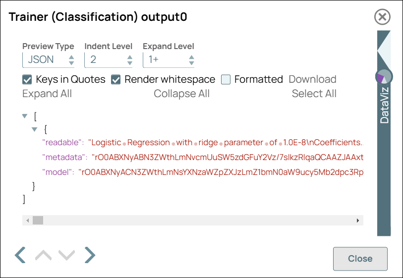 Trainer (Classification) Snap Output