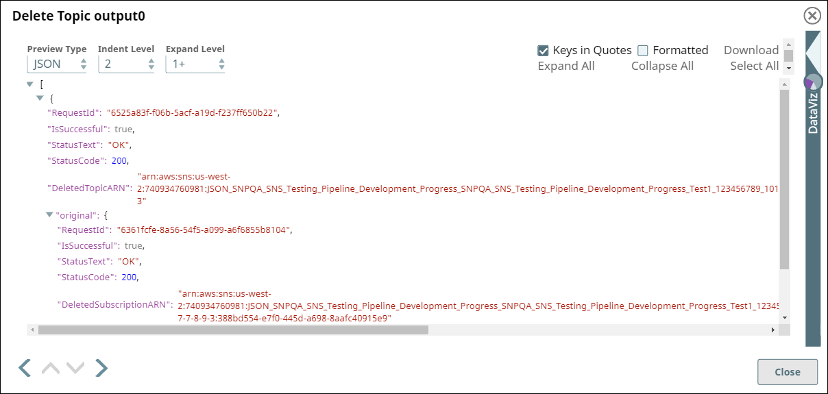 Delete Topic Output