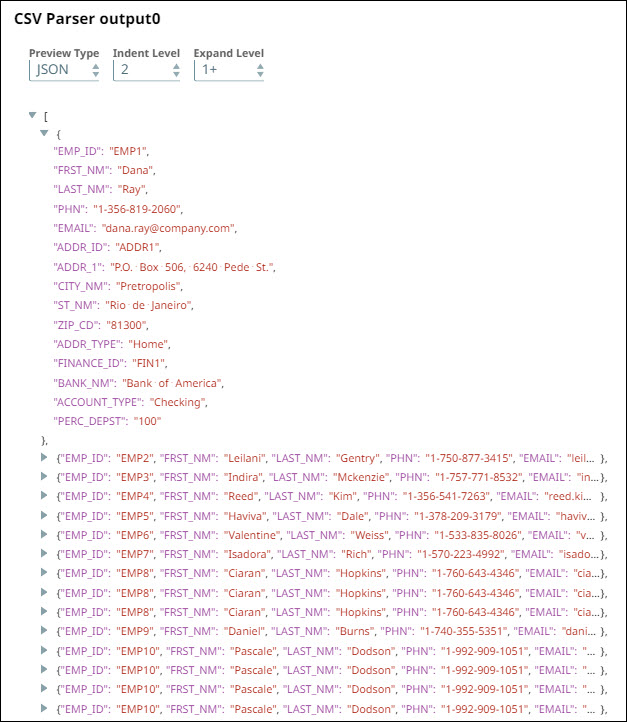 CSV Parser Output
