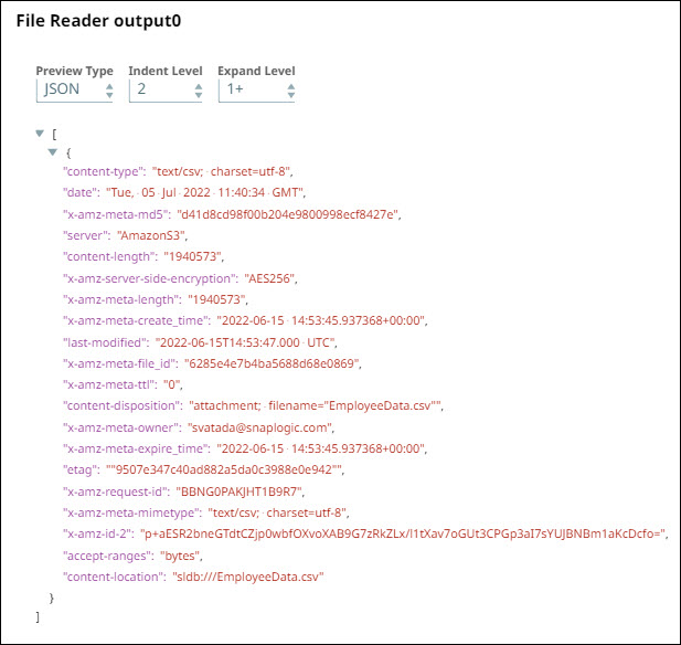 File Reader Output