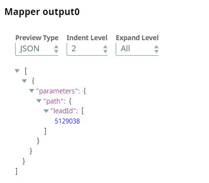 Mapper Snap output with Lead ID