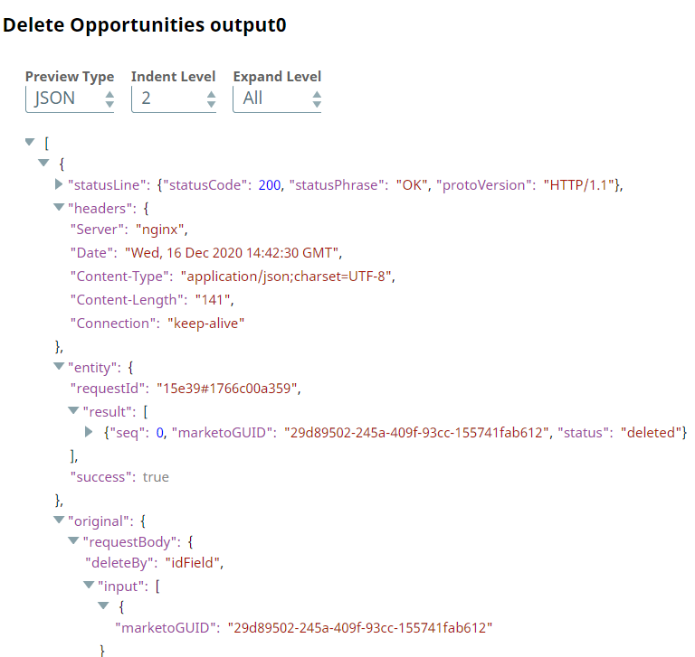 Delete Opportunities Output