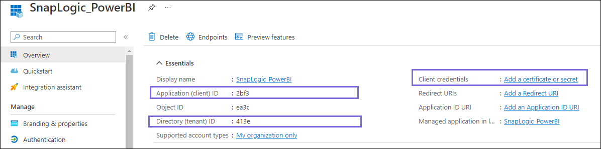 Application essentials showing the client and tenant IDs