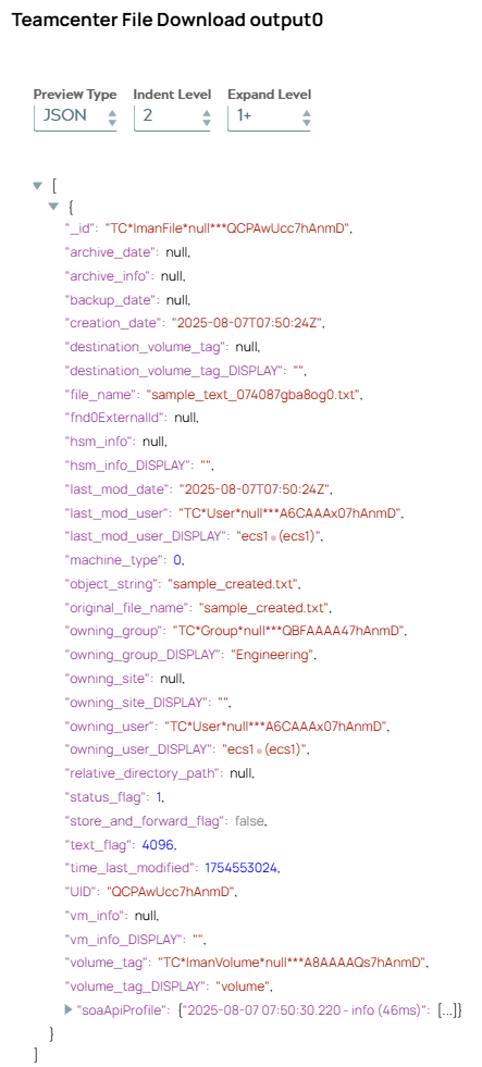JSON output document including metadata of file.
