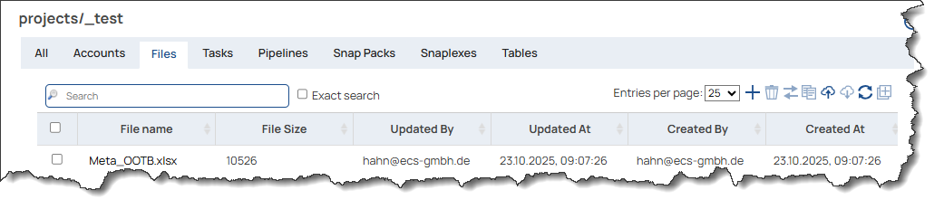 An Excel file element is listed on SnapLogic project below files category.
