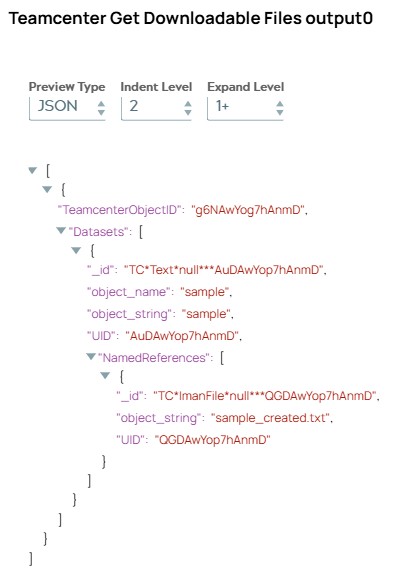 JSON output document being copy of input document including 'Datasets' list object with one dataset object.