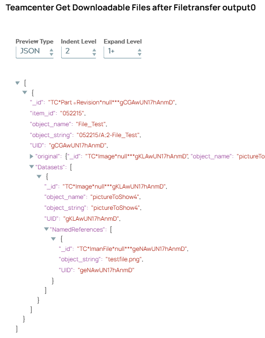 JSON output document being copy of input document including 'Datasets' list object with one dataset object.