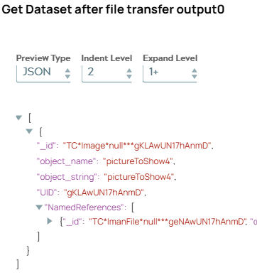 JSON output document of Splitter Snap including one object.