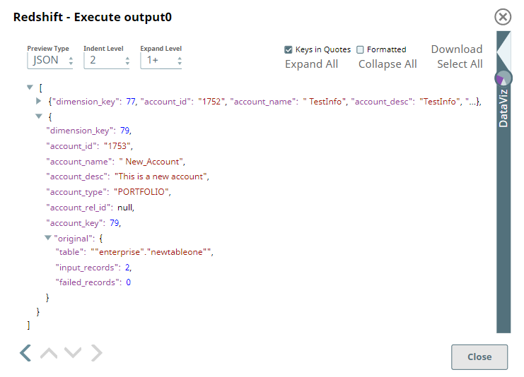 Execute Output Verification