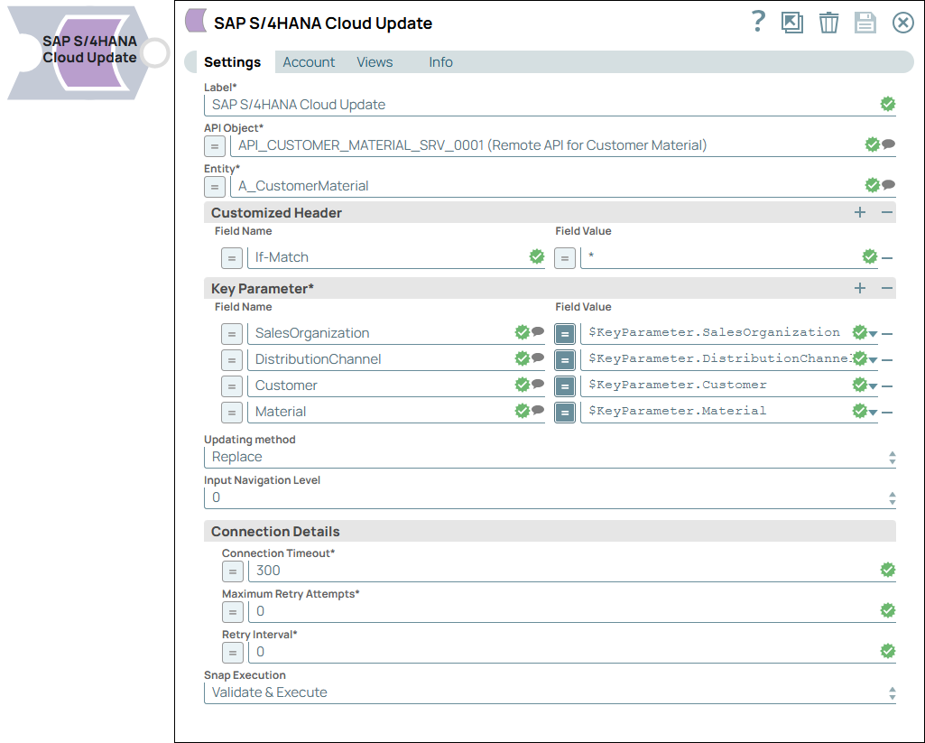 SAP S/4HANA Cloud Update Snap dialog