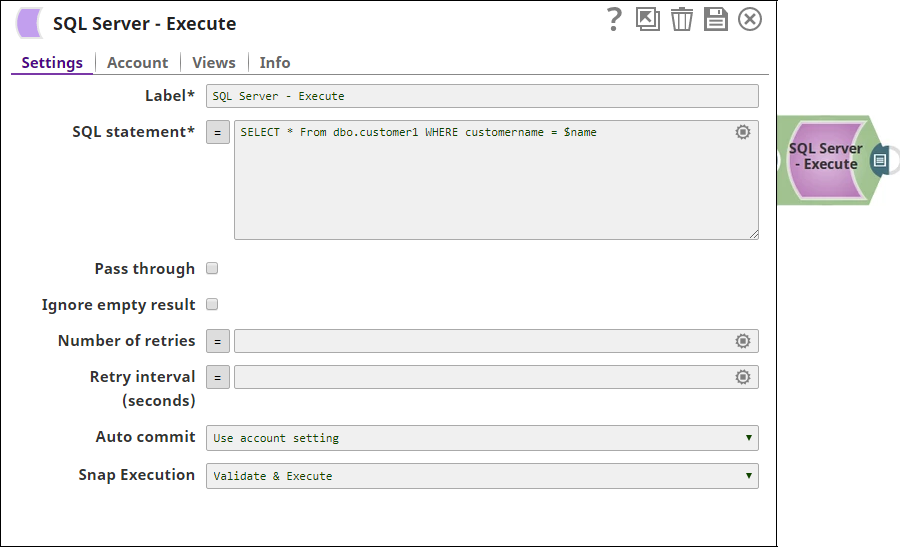SQL Server Execute Snap Configuration