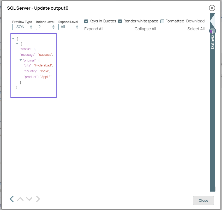 SQL Server Update Snap Output