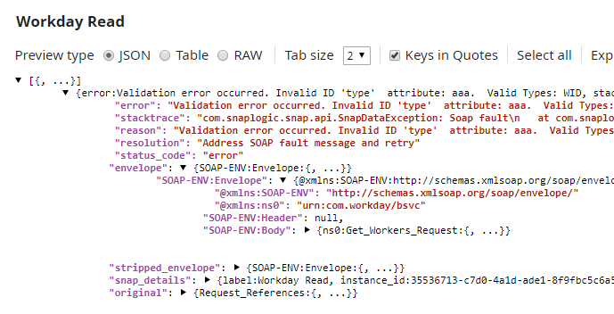 Error view output showing the invalid type mapping error